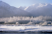 The Chilkat Valley under a covering of snow, with mountains behind. Alaska.