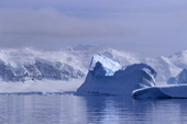 Icebergs float off the glaciated coast of Ronge Island. Antarctic Peninsula.