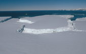 Iceberg newly broken out from the Campbell Ice Tongue, Terra Nova. Antarctica.