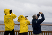 Photographing birds in the Southern Ocean from the stern of the Clipper Adventurer.