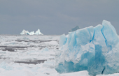 Icebergs and Pack ice blown out of the Weddell Sea by persistent winds. South Orkney Islands. Antarctica