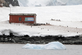 Refuge hut on the shore at Mikkelsen Harbour, built by the 1954-55 Argentine Expedition, Trinity Island. Antarctica.