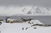 Tourists watch and film Chinstrap Penguins on Half Moon Island. Sth Shetland Is. Antarctica