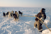 Inuk dressed in caribou skin helps his dog team over an ice ridge. Igloolik, Canada. 1993