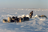 Inuk, dressed in Caribou skin trying to get his dog sled over an ice ridge. Igloolik, Nunavut, Canada.