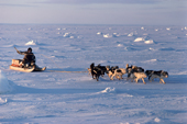 Tatigat, an inuk, cracks his whip to encourage his dog team over the sea ice. Igloolik. Nunavut. Canada. 1993