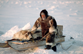Tatigat, an Inuit hunter from Igloolik rests on his sled, on the sea ice. Nunavut, Canada. 1993