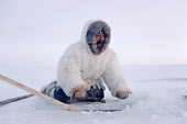 Elerly Inuk, Aipilik, in fox fur clothing, waits with his Kakivak (Leister) by fishing hole in a lake near Igloolik, Nunavut, Canada. (1993)