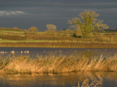 The River Stour flooding across meadows by Sturminster Newton with dramatic Light. Dorset