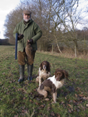Pheasant shooting in Hampshire, Gun with hen pheasant, and two working English Springer Spaniels.