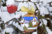 Russian hand painted Christmas decoration hanging with snow covered Winston Apple. England