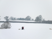 Walkers and their dogs in a snow covered Sturminster Newton water meadows. Dorset November 2010