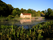 Sturminster Newton watermill in late May with mist rising off the water. Dorset. England