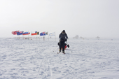 The last few steps of an overland expedition as they pass the Ceremonial South Pole on their way to the final campsite. Scientific buildings in background. Flags of the 12 original Antarctic Treaty nations surround the Pole.
