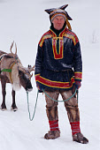 Lake Sami with his sled reindeer in light snow. Inari. Finland. 1996