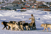 Inuit hunter and his dog team outside the village of Qaanaaq. Northwest Greenland.