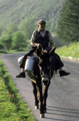 Farmer delivers his milk churns on his donkey. Abruzzo National Park. Italy. 1987