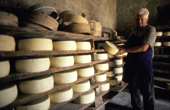 Hill farmer with his cheeses at a Malga (summer Alpine farm) in Val di Rabbi. Stelvio National Park, Italian Alps, Italy. 1987