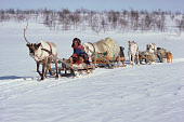 Sami herder, Johan Henrik sits on his reindeer sled during spring migration. Kautokeino, N. Norway. 1985