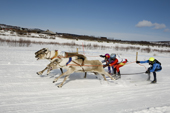 Young Saami ski behind reindeer during a race at Kautokeino. Finnmark, North Norway. 2007