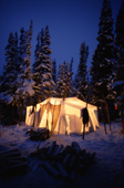 At dusk in boreal forest, light shines through a tent at an Innu autumn hunting camp. Southern Labrador, Canada. 1997