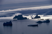 Icebergs & mist in the short Antarctic summer. Signy, South Orkney Is. Antarctica.