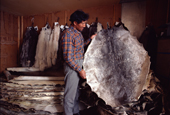 Inuit storekeeper Ajako Henson, with traded fox and seal skins in Moriussaq. Ajako is the grandson of Matthew Henson, the US explorer. Northwest Greenland. (1980)