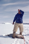 Inuit hunter Qaavigannguaq, skins a seal. He wears polar bear pants and sealskin kamik. NW Greenland. 1980
