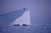Inuit hunter climbs an Iceberg to scan the sea ice for bears.  N.W.Greenland. 1986