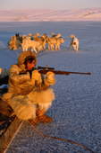 Ituko, an Inuit hunter shoots at a seal from the floe edge. N.W. Greenland. 1987