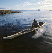 Inuit hunter, Ole Petersen, in his kayak with a Beluga, (white whale) he has hunted near Qeqertat. Inglefield Bredning. Thule, Northwest Greenland. (1971)