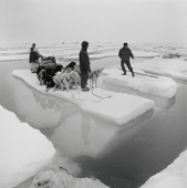 Inuit family use an ice floe as a raft to cross a wide lead in late spring. Qaanaaq. Northwest Greenland. 1971