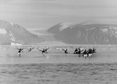 Inuit hunters in their kayaks on a narwhal hunt in Inglefield Bredning. Thule, Northwest Greenland. 1971