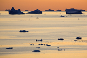 Icebergs and small pieces of glacial ice floating in Inglefield Bay and silhouetted at sunset. Northwest Greenland. 2008