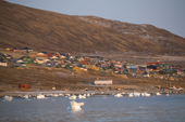 The Inuit community of Qaanaaq on the shore of Inglefield Bay, Northwest Greenland. 2008