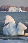 A piece of glacial ice, sculpted by the sea, on the shoreline of Inglefield Bay. Northwest Greenland. 2008