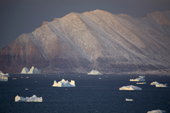Icebergs and small pieces of glacial ice floating in front of Herbert Island in Inglefield Bay at sunrise. Northwest Greenland. 2008