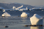 Icebergs and small pieces of glacial ice floating in Inglefield Bay in the morning sunshine. Northwest Greenland. 2008