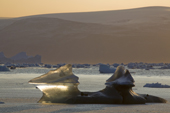 The sun shines through a piece of glacial ice floating in Inglefield Bay in the autumn. Northwest Greenland. 2008