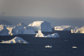 Icebergs and small pieces of glacial ice floating in Inglefield Bay at sunrise. Northwest Greenland. 2008