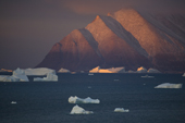 Icebergs and small pieces of glacial ice floating in front of Herbert Island in Inglefield Bay at sunrise. Northwest Greenland. 2008