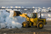 A front loader being used to collect glacial ice to be used for community's water supply in Qaanaaq. Northwest Greenland. 2008