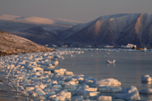 Glacial ice along the shore of Inglefield Bay at Qaanaaq in Northwest Greenland. 2008