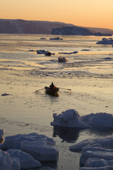 At sunset, an Inuit hunter rows his boat ashore through newly formed sea ice in Inglefield Bay. Qaanaaq, Northwest Greenland. 2008