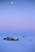 An Inuit hunter's camp on the sea ice of Inglefield Bay during the winter polar night. Qaanaaq, Avanersuaq, Northwest Greenland. (1977)