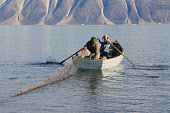 Utoniaqssuaq,an Inuit elder, setting a fishing net from his boat to catch Arctic Char during the summer in MacCormick Fiord. Thule, Avanersuaq, Northwest Greenland. (1977)