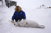 Chukchi boy honours dead seal
