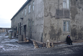 A Chukchi woman and stray dogs outside an apartment block in Uelen. Chukotka, Siberia, Russia. 2004