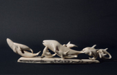 A walrus ivory carving of a pod of killer whales attacking a group of gray whales by Valeri Nypevgi of Uelen. Chukotka, Siberia, Russia. 2004
