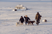 Chukchi boys and dogs near a hunting camp at Dezhnovka. Uelen, Chukotka, Siberia, Russia. 2004